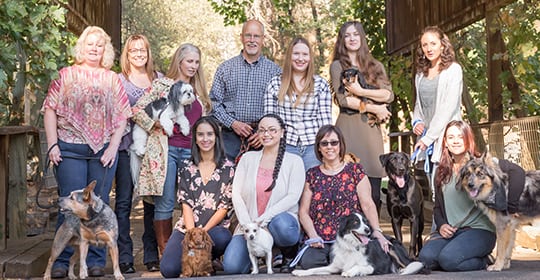 Our Team Live Oak Veterinary Hospital in Sonora