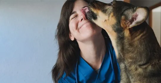 veterinary jobs in sonora, ca